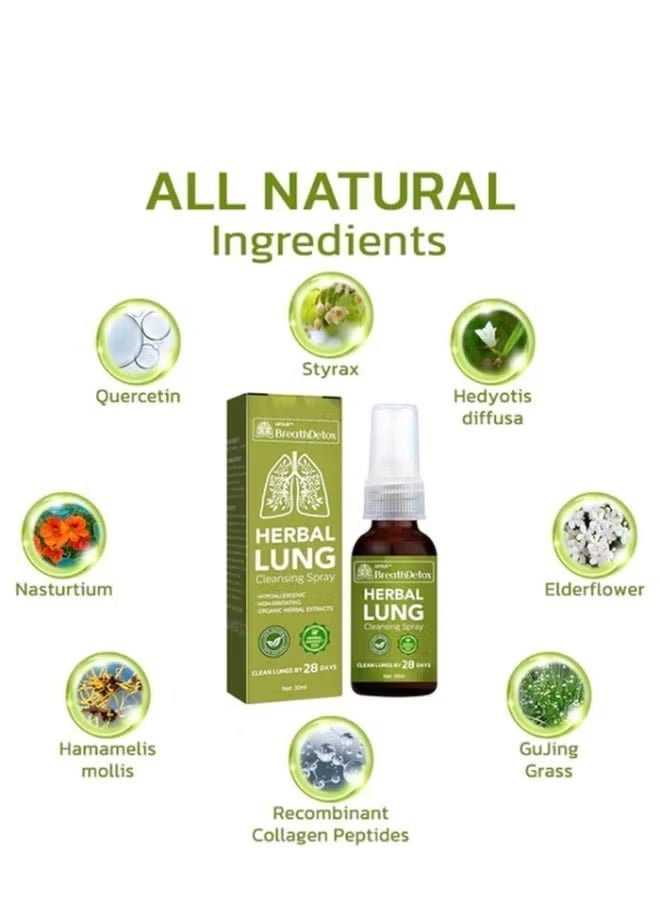 Googeer Breath Health Brealth detox Lung Cleansing Spray, Natural Essence for Powerful Lung Support – Lung Cleanse Mist 30ml - Image 3