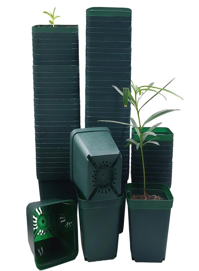 RooTrimmer Square Nursery Seedling Pot 3.5 Inches 90 Pcs, Small Nursery Pot Plastic Thick and Sturdy Seed Start Germination Pot for Plant Propagation and Seeding(Green,3.54 Inches, 90Pcs) - Image 1