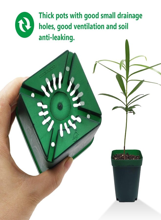 RooTrimmer Square Nursery Seedling Pot 3.5 Inches 90 Pcs, Small Nursery Pot Plastic Thick and Sturdy Seed Start Germination Pot for Plant Propagation and Seeding(Green,3.54 Inches, 90Pcs) - Image 5