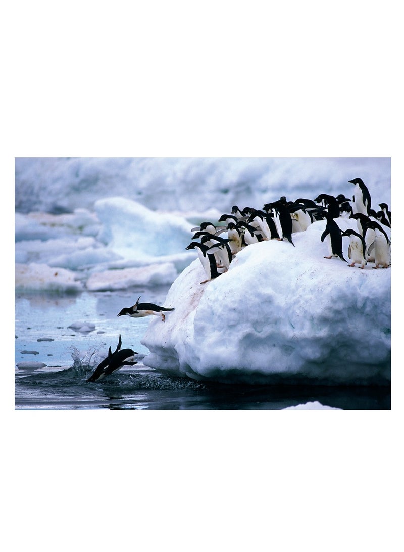 TOMAX Tomax - Penguins Puzzle 1000 Pieces - 100-181  - Image 2