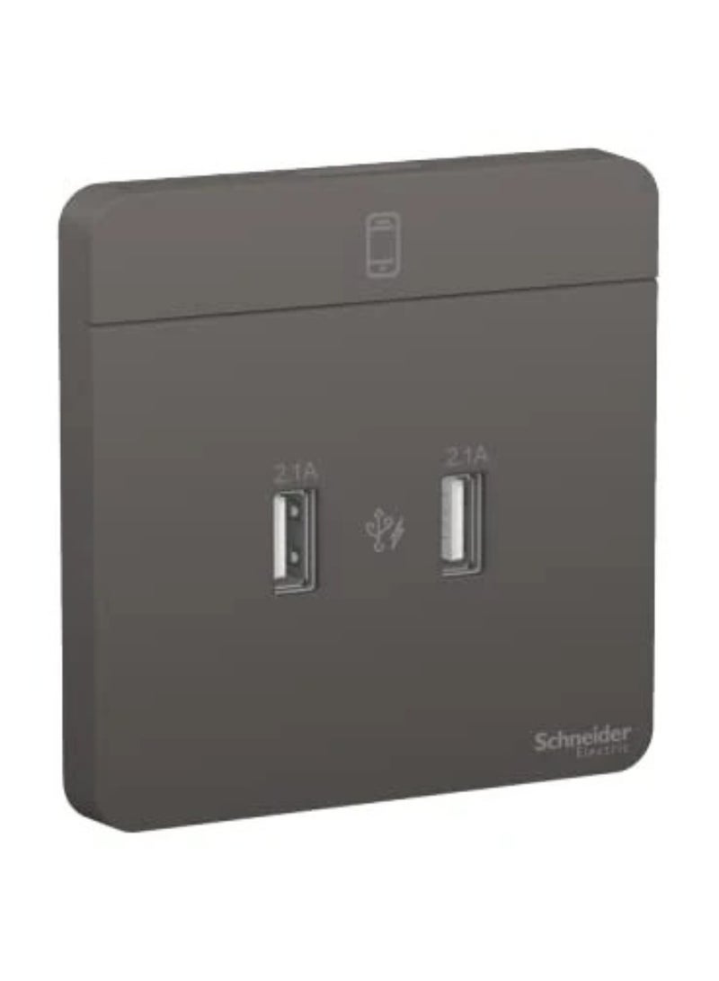 Schneider Electric Schneider Electric AvatarOn 2.1 A Dual USB Charger – Dark Grey E8332USB_DG  - Image 2