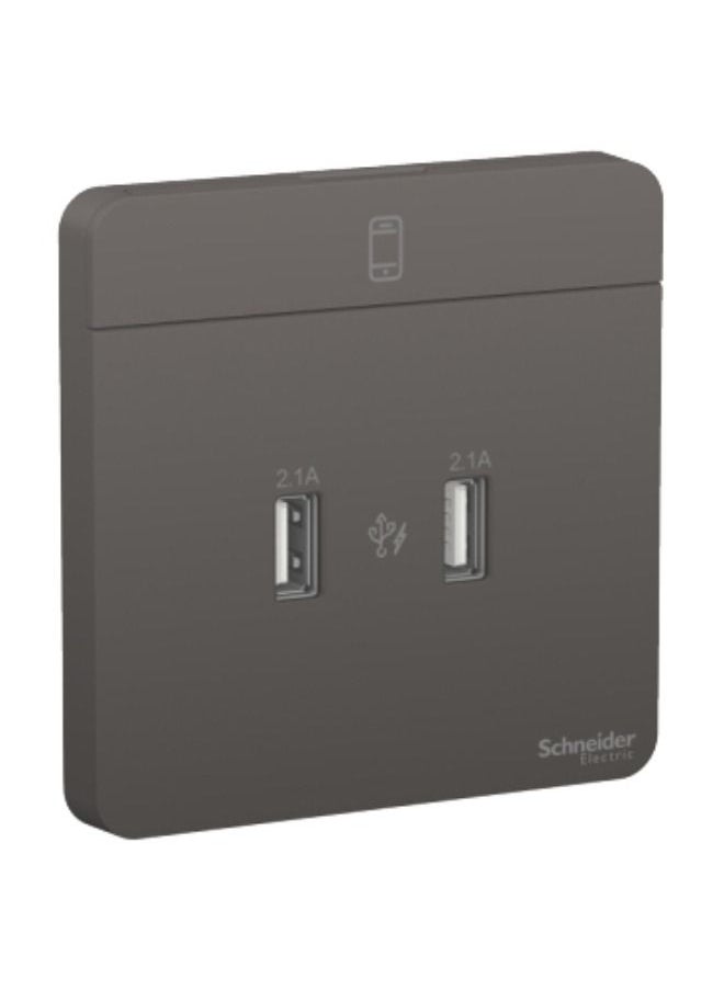 Schneider Electric Schneider Electric AvatarOn, 2 USB charger, 2.1A, Dark Grey (Model Number-E8332USB_DG) 