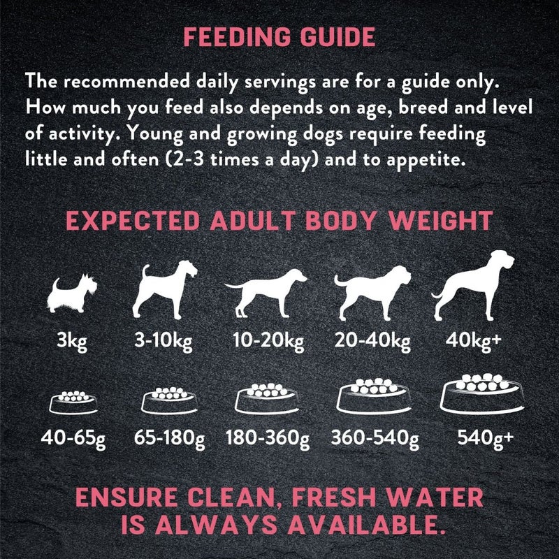 Harringtons Just 6 Salmon Grain Free Adult Dry Dog Food
12kg - Image 2