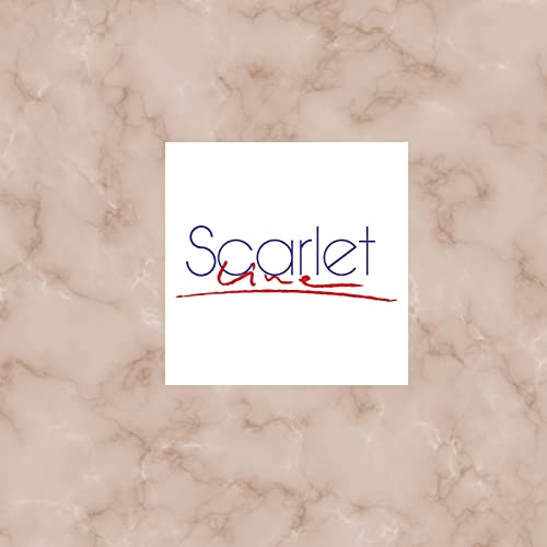 Scarlet Line Professional Series Round Shape Double Sided Magnifying Makeup Hand Mirror with Handle for Men and Women 27X14.5X1 cm - Image 5