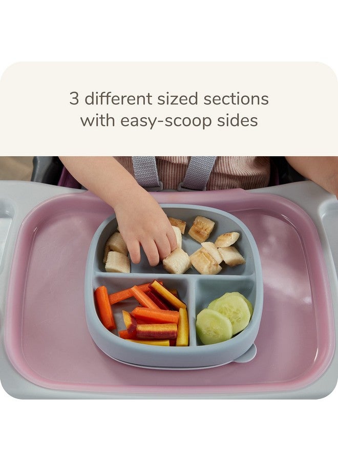 NUK for Nature Suction Plate and Lid, Leak-Proof Lid, Microwave, Freezer, & Top Rack Dishwasher Safe, BPA & Latex-Free, Pack of 1 - Image 2