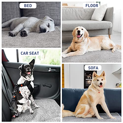 Kritter Planet Waterproof Dog Blanket, Reversible Water Proof Pet Blanket for Couch, Bed & Sofa, Washable Couch Covers for Large Dogs - Protects Furniture from Fur, Dirt, and Accidents - Image 5