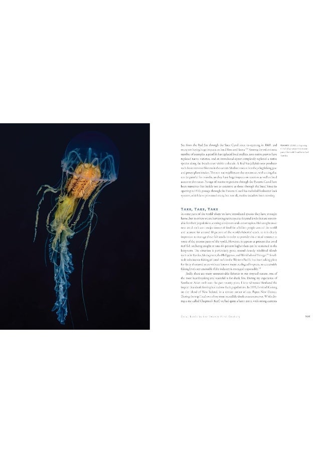 The World Beneath: The Life and Times of Unknown Sea Creatures and Coral Reefs  - Image 5