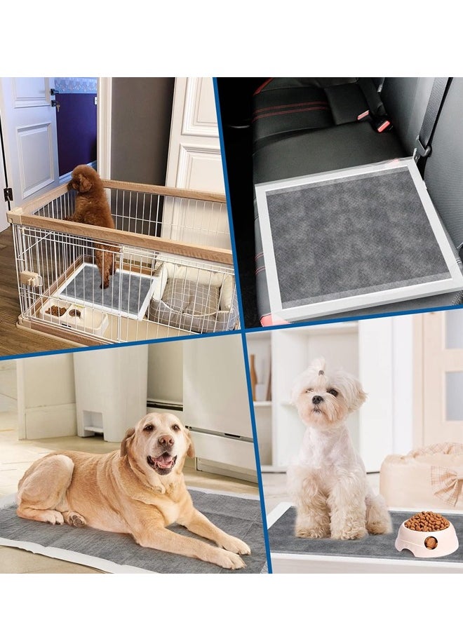 Generic - Dogcator Charcoal Puppy Pads for Small Dogs Activated Charcoal Dog Pee Pads Odorless Potty Pads Count Regular Disposable Puppy Pads Pet Training Pads for Housebreaking - Image 1