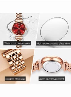 Women's Stainless Steel Strap Quartz Watches Analog Display Round Red Dial Watch with Rose Gold Band - pzsku/ZA782144B65FBBE1EBCDEZ/45/_/1663751102/006b2215-1695-4ba6-8efd-d765bceb1f94