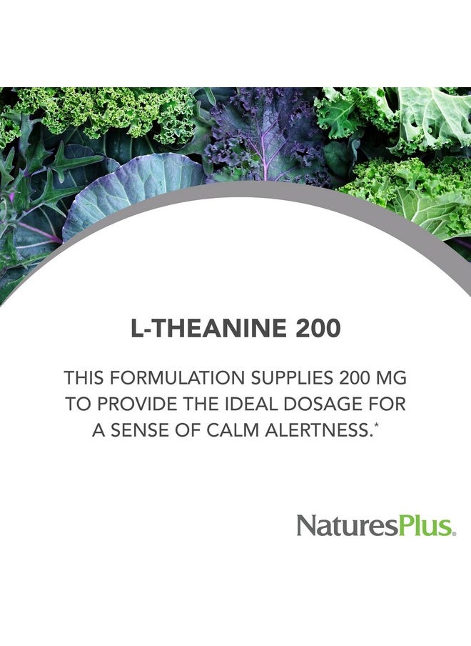 ناتشرز بلاس Natures Plus PRO L-Theanine - 60 كبسولة - يدعم اليقظة والهدوء والاسترخاء الصحي وتحسين الراحة - خالٍ من الكائنات المعدلة وراثيًا ونباتي وخالي من الجلوتين - 60 وجبة  - Image 2