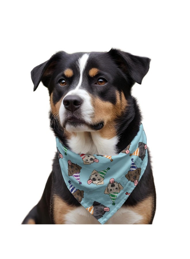W WoofBox Birthday Celebration Dog Bandana | This Stunning Gorgeous Dog Bandana Scarf is Perfect for Your Dog’s Birthday Celebration. One Size Fits All. - Image 4