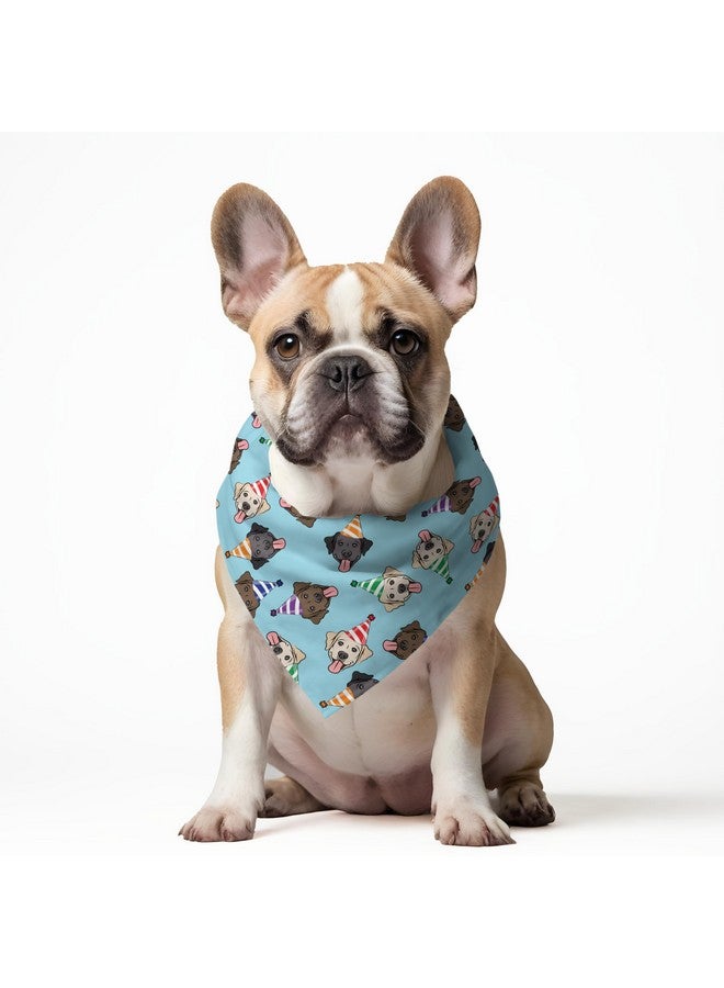 W WoofBox Birthday Celebration Dog Bandana | This Stunning Gorgeous Dog Bandana Scarf is Perfect for Your Dog’s Birthday Celebration. One Size Fits All. - Image 3