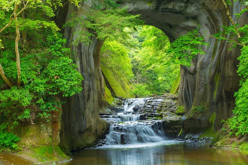Reyhui Forest Stream Wall Mural Wallpaper Large Nature Scenery Mural for Bedroom Living Room TV Background Sofa Wall (not self-Adhesive) - Image 2