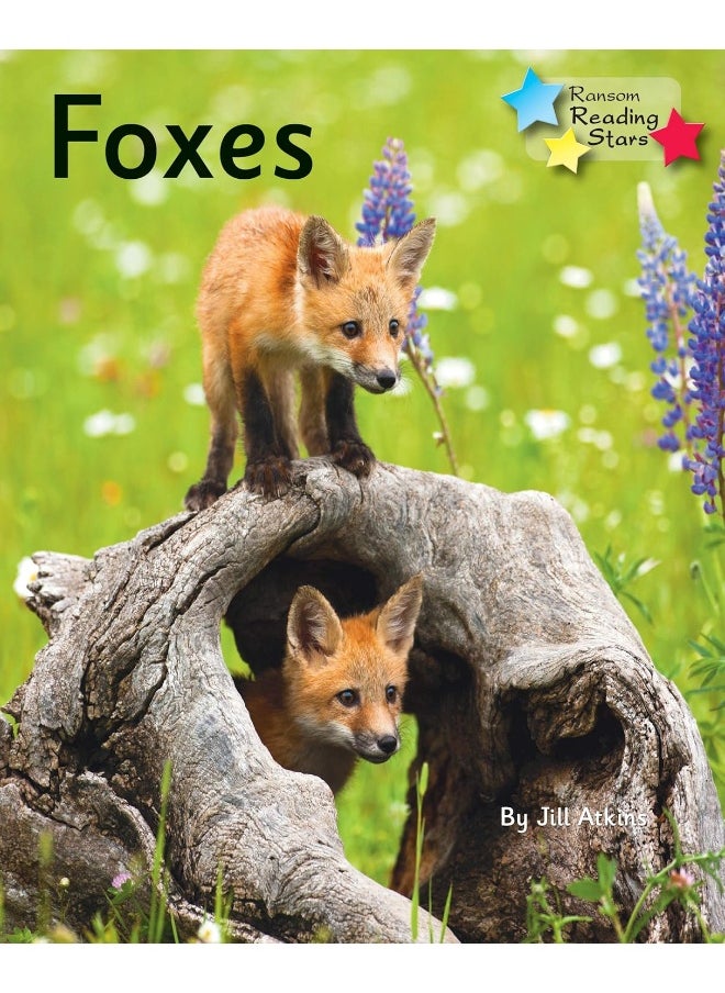 Foxes: Phonics Phase 5  - Image 1