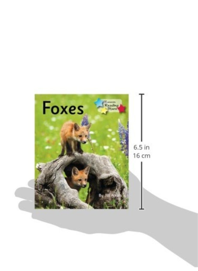 Foxes: Phonics Phase 5  - Image 2