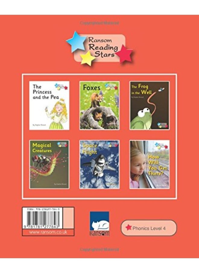 Foxes: Phonics Phase 5  - Image 3