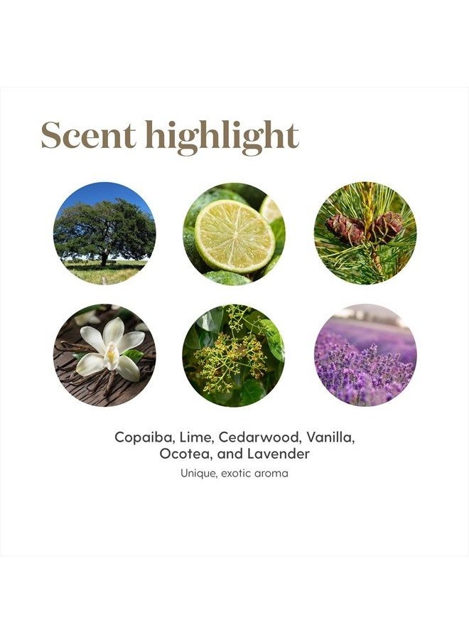 Young Living Stress Away Essential Oil - Relaxing Blend with Lime, Cedarwood, Vanilla & Lavender - 15ml Bottle for Calm & Serenity. Find Peace with Stress Away Essential Oil  - Image 5