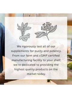 global healing center Global Healing Quercetin (2Pack) 500Mg Total 250Mg Each Serving Support Immune System Function & Body Natural Response To Occasional Allergies Quercefit Without Bromelain & Zinc 60 Capsules  - Image 4