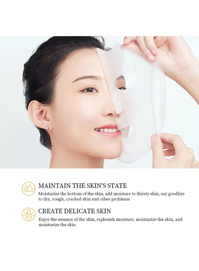 BIODANCE Bio-Collagen Real Deep Mask, Hydrating Overnight Hydrogel Mask, Pore Minimizing, Elasticity Improvement, 34g x9ea - Image 4