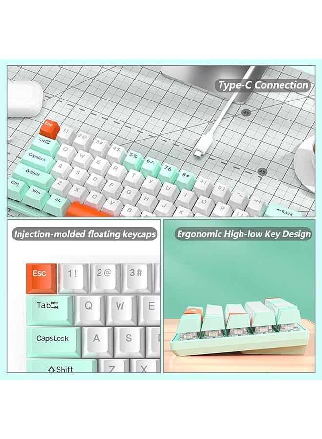 Arabic English 60% Gaming Keyboard 68 Keys Wired Mechanical Keyboard With Rgb Backlit Mini Compact Keyboard For Window/Mac Blue And Red Switches (White Blue Switch) - Image 5