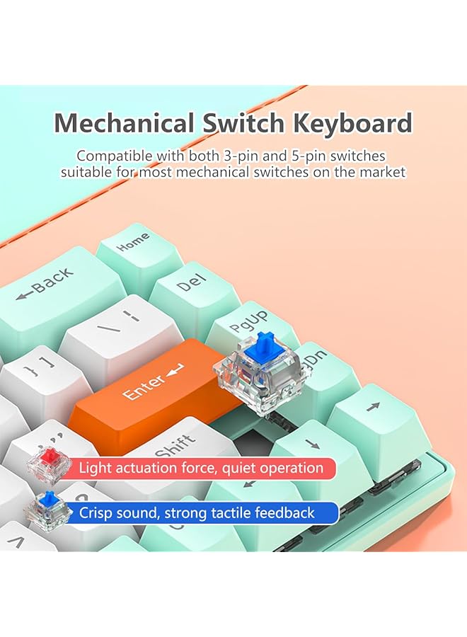Arabic English 60% Gaming Keyboard 68 Keys Wired Mechanical Keyboard With Rgb Backlit Mini Compact Keyboard For Window/Mac Blue And Red Switches (White Blue Switch) - Image 3