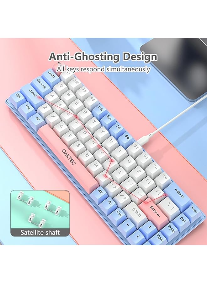 Arabic English 60% Gaming Keyboard 68 Keys Wired Mechanical Keyboard With Rgb Backlit Mini Compact Keyboard For Window/Mac Blue And Red Switches (White Blue Switch) - Image 4