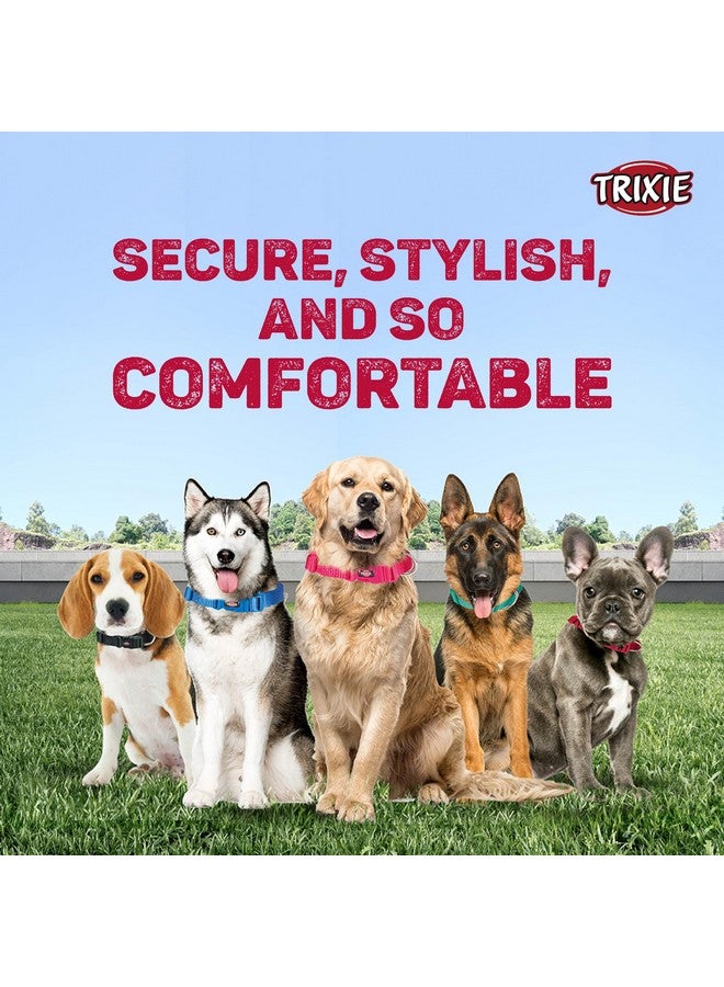 تريكسي طوق كلاسيكي، طوق كلاب من النايلون قابل للتعديل مع مشبك بلاستيكي للإغلاق، متين ومقاوم للتمزق، مفيد في التدريب الأساسي لكلبك - (40-65 سم/25 مم، L-Xl)، أسود (عبوة من 3 قطع) - Image 4