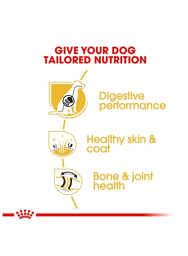 رويال كانين كلب الراعي الألماني البالغ - 3 كجم - Image 3