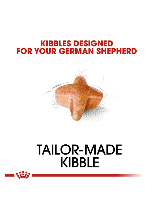 رويال كانين كلب الراعي الألماني البالغ - 3 كجم - Image 4