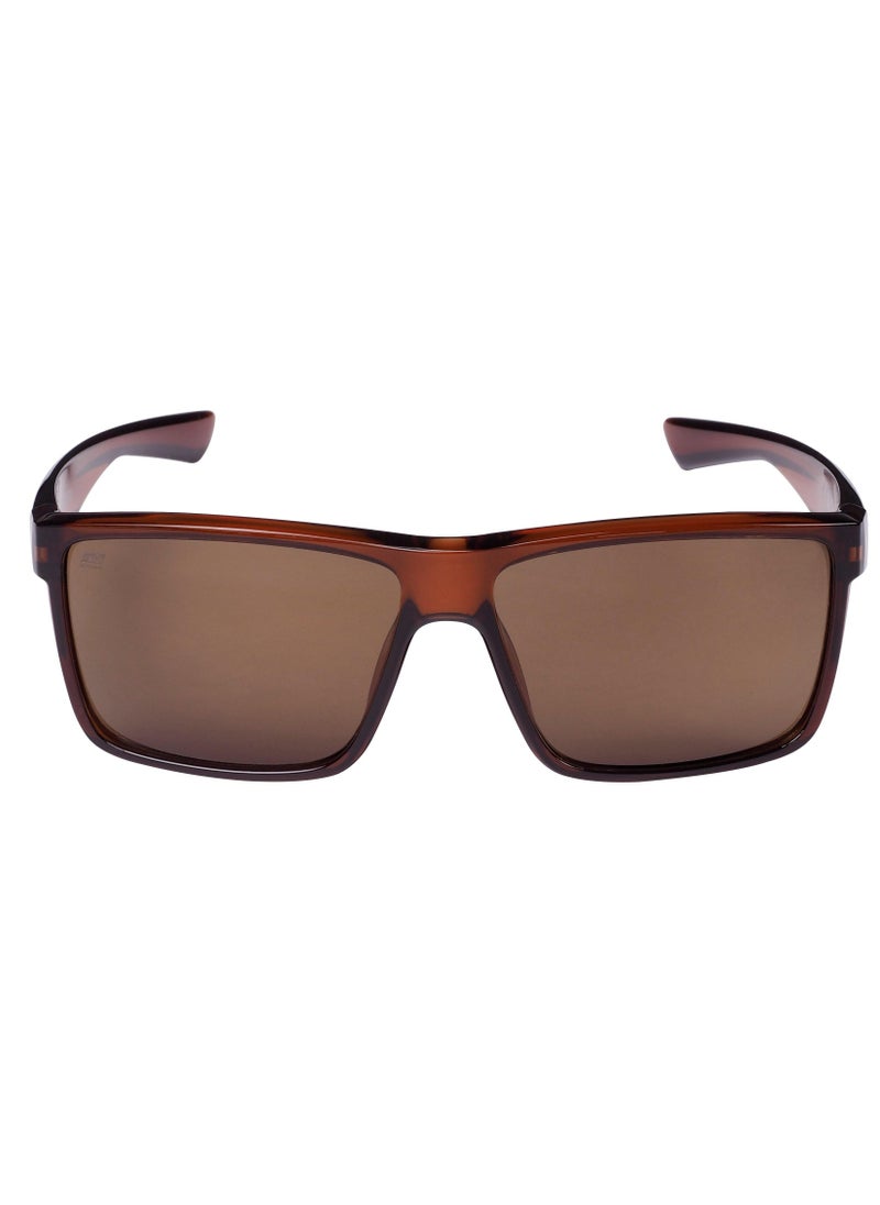 Abu Garcia Abu Garcia Spike Eyewear Quartz Brown  - Image 1