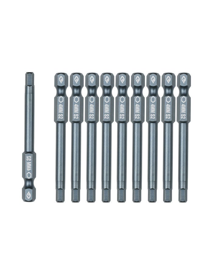 NIBEMINENT 10-Piece Screwdriver Bit Set Silver  - Image 1