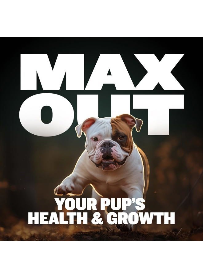 BULLY MAX 2-in-1 Puppy Soft Chews for Immunity & Growth - Puppy Dog Food Supplements and Vitamins for Health & Immune Support - Essential Dog Multivitamin for All Breeds, Small & Large Breed Puppies - Image 4