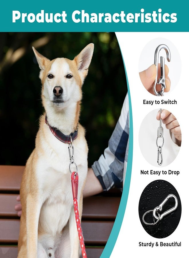 LLOUSSAK Dog Tag Clips, Stainless Steel Heavy Duty Ring Pet Tag Key Ring Clips, Pet Tags Clip for Collars Keychain Clip for Pets Collars and Harnesses - Image 3