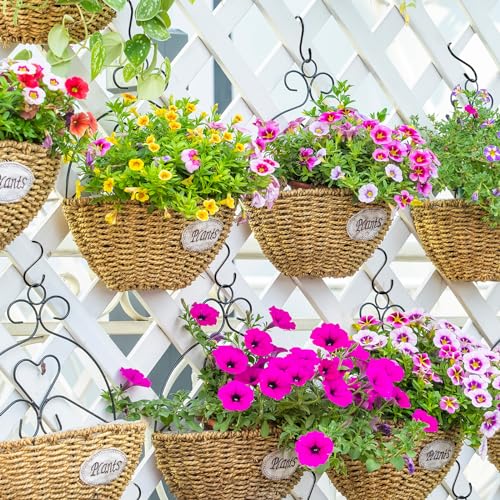 Dapute 6 Pack Heavy Duty S Hooks for Hanging, Non Slip Vinyl Coated S Hook for Hanging Closet,Jeans, Pots, Mugs, Pans, Bird Feeders Kitchen and Large S Hook for Hanging Plants- 5 inch Length - Image 4
