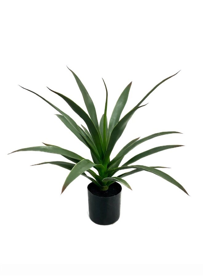 Artificial Yucca Cactus Tree, 50 cCm High - pzsku/ZA792481E99CCA9DD718DZ/45/_/1726929923/5985568f-a74c-4bd9-9283-0dbd05e51a52