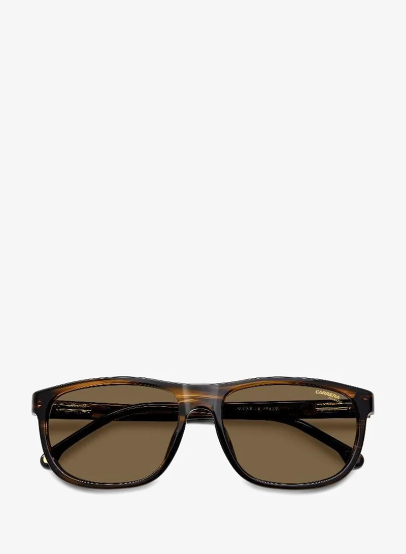 Carrera  Wayfarers Sunglasses for Men | Best Price UAE