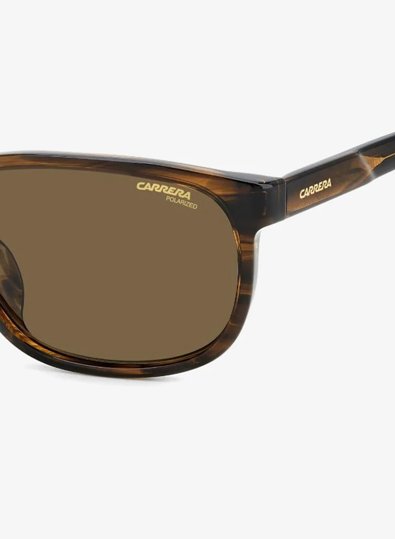 Carrera  Wayfarers Sunglasses for Men | Best Price UAE