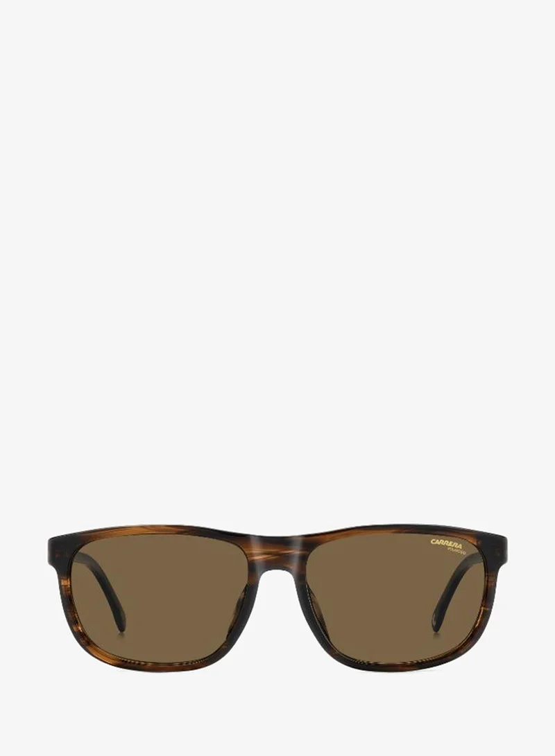 Carrera Wayfarers Sunglasses