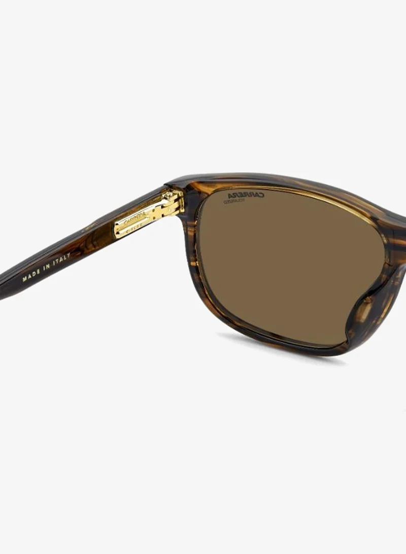Carrera  Wayfarers Sunglasses for Men | Best Price UAE