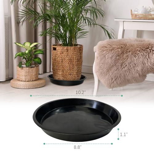 DUNPUTE Plant Saucer 4 6 8 10 12 Inch, 4 Pack Plant Tray for Planter Pot, Plastic Flower Pot Saucers Drip Water Trays for Indoors and Outdoors (10 Inch) - Image 2