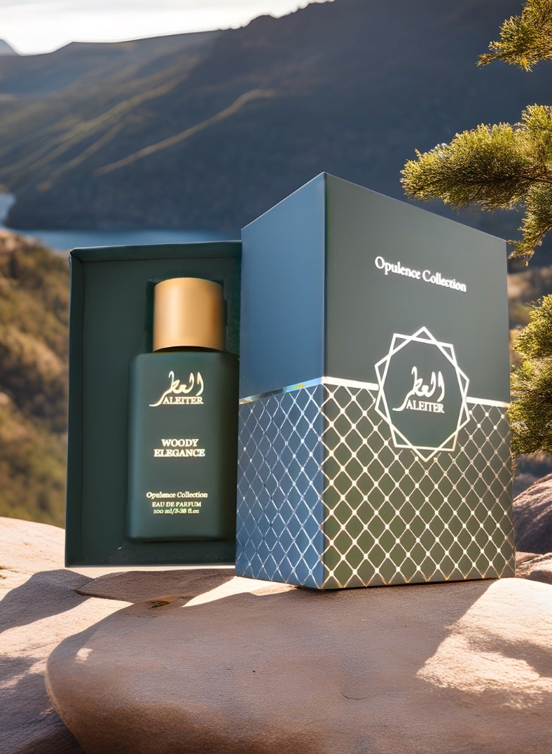 ALEITR Woody Elegance For Unisex 100m - Image 1