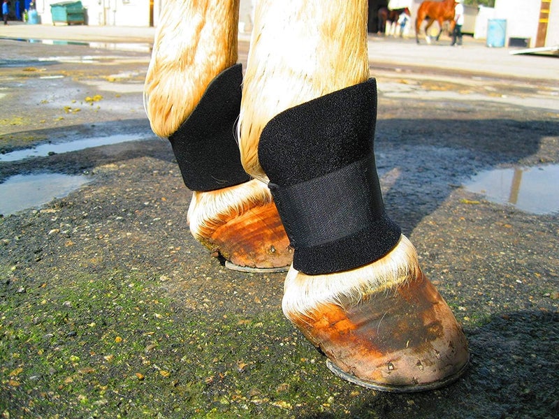 Equipro Bedsore Boots for Horses -Equine Leg Protection for Pressure Sores & Ulcers- Neoprene Stall Boots, Heal Wounds Faster, Easy On/Off, Washable & Air-Dry - Image 3