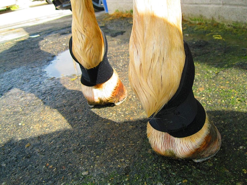 Equipro Bedsore Boots for Horses -Equine Leg Protection for Pressure Sores & Ulcers- Neoprene Stall Boots, Heal Wounds Faster, Easy On/Off, Washable & Air-Dry - Image 4