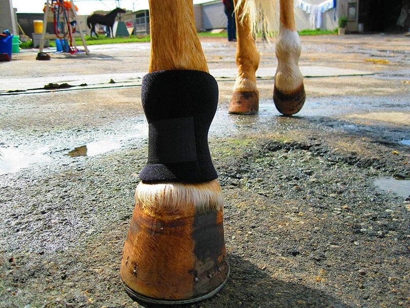 Equipro Bedsore Boots for Horses -Equine Leg Protection for Pressure Sores & Ulcers- Neoprene Stall Boots, Heal Wounds Faster, Easy On/Off, Washable & Air-Dry - Image 2