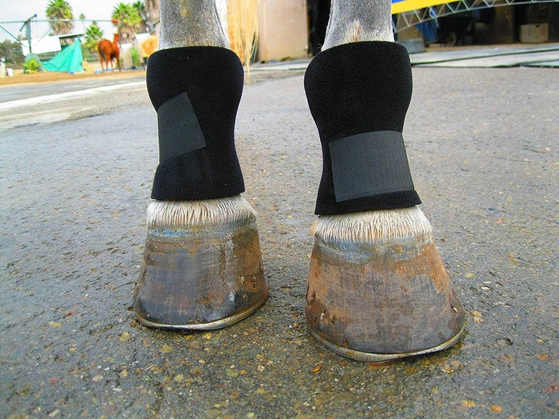 Equipro Bedsore Boots for Horses -Equine Leg Protection for Pressure Sores & Ulcers- Neoprene Stall Boots, Heal Wounds Faster, Easy On/Off, Washable & Air-Dry - Image 1