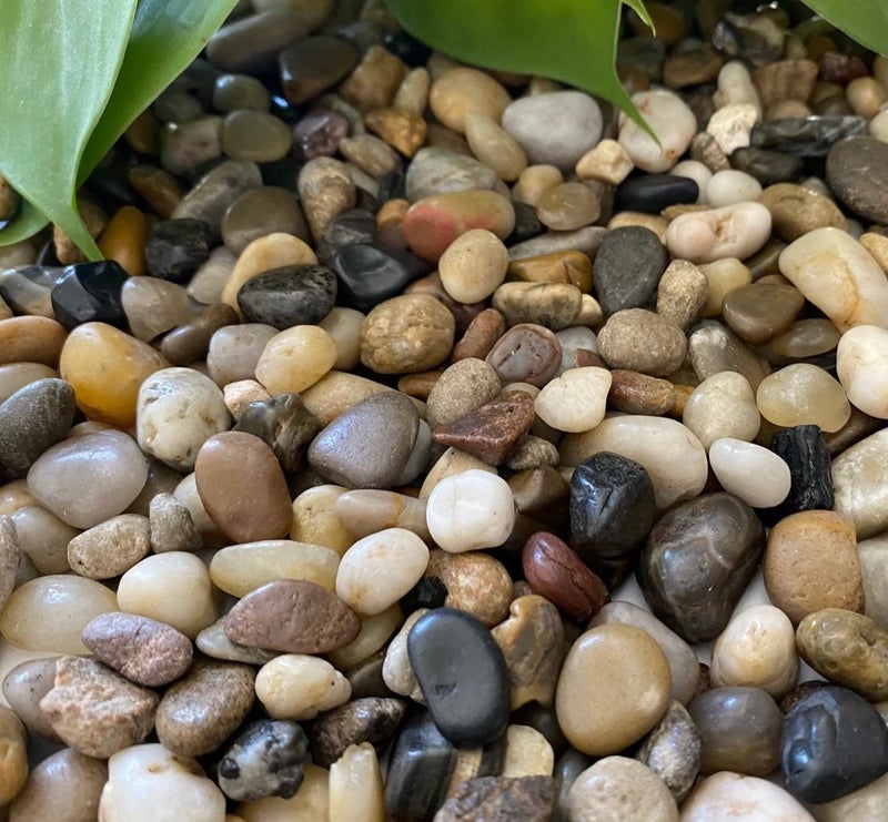 Premium Pebbles Rocks for Plants. Mixed Colors Decorative Polished Pebbles. 3/8 Inch â€“ 10 lbs for Plants, Garden, Landscaping, Succulents, pots, Plants (XSM (0.375 Inch), Mixed Color - Polished, 10) - Image 1
