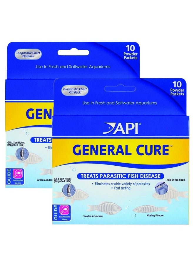 API API Powder General Cure 20 pack  - Image 1