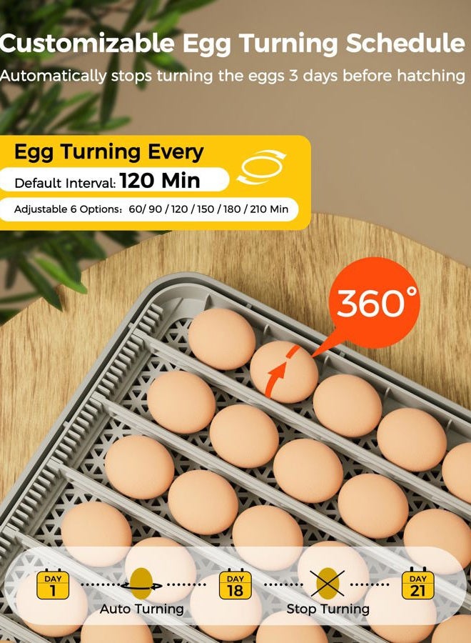 Besly 48 Egg Incubator for Hatching with Automatic Egg Turning and Humidity Control, Egg Candler, Poultry Egg Incubator for Chicken, Ducks, Goose, Pigeon, Quail, ideal for Farm, Classroom, Home - Image 3