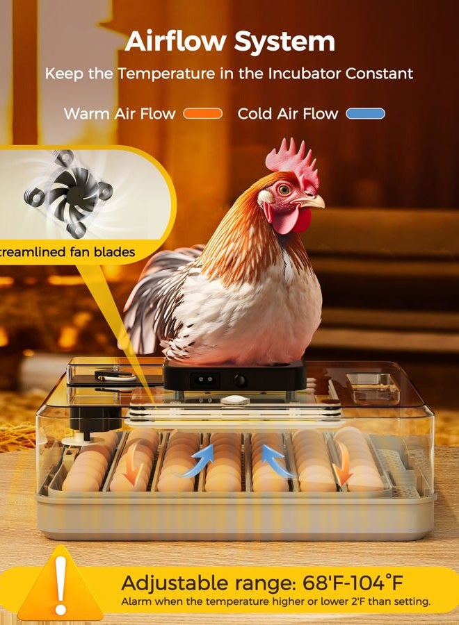 Besly 48 Egg Incubator for Hatching with Automatic Egg Turning and Humidity Control, Egg Candler, Poultry Egg Incubator for Chicken, Ducks, Goose, Pigeon, Quail, ideal for Farm, Classroom, Home - Image 4