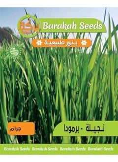 Generic High germination natural seeds - (Nigella) 